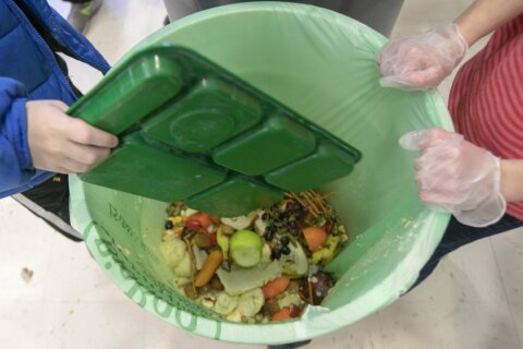 Arlington County’s new food scrap collection service starts on Labor Day