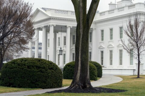5 White House staffers lose jobs over drugs, marijuana use