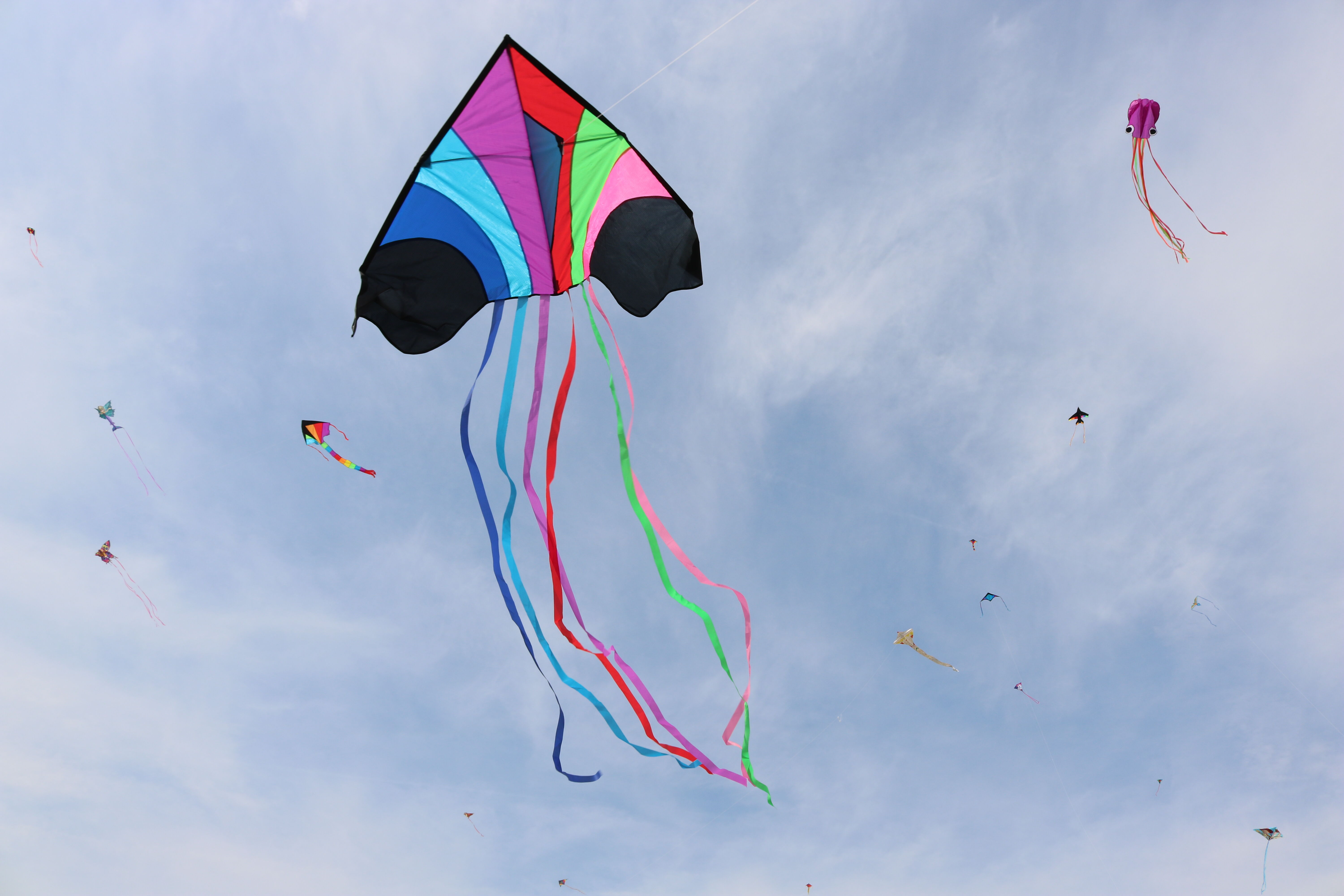 National Cherry Blossom Festival’s Kite Fly remotely connects the