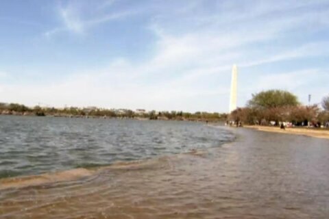 Tidal Basin faces uncertain future with rising waters