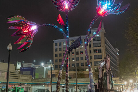 2-story tall metal flowers that move based on current weather now on display in Silver Spring