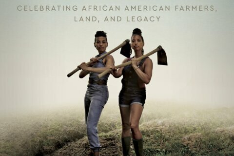 Review: A book celebrating Black American farming history