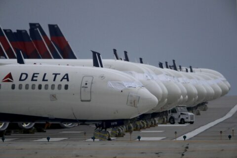 Delta flight returns to Atlanta after birds hit windshield