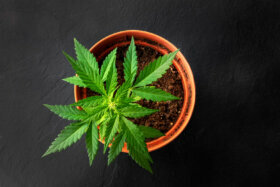 Virginia is legalizing pot, but it won’t be a free-for-all