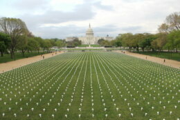 A gun violence memorial was installed on the National Mall. It consists of 40,000 white silk flowers, representing the number of Americans who die from gun violence each year. 
