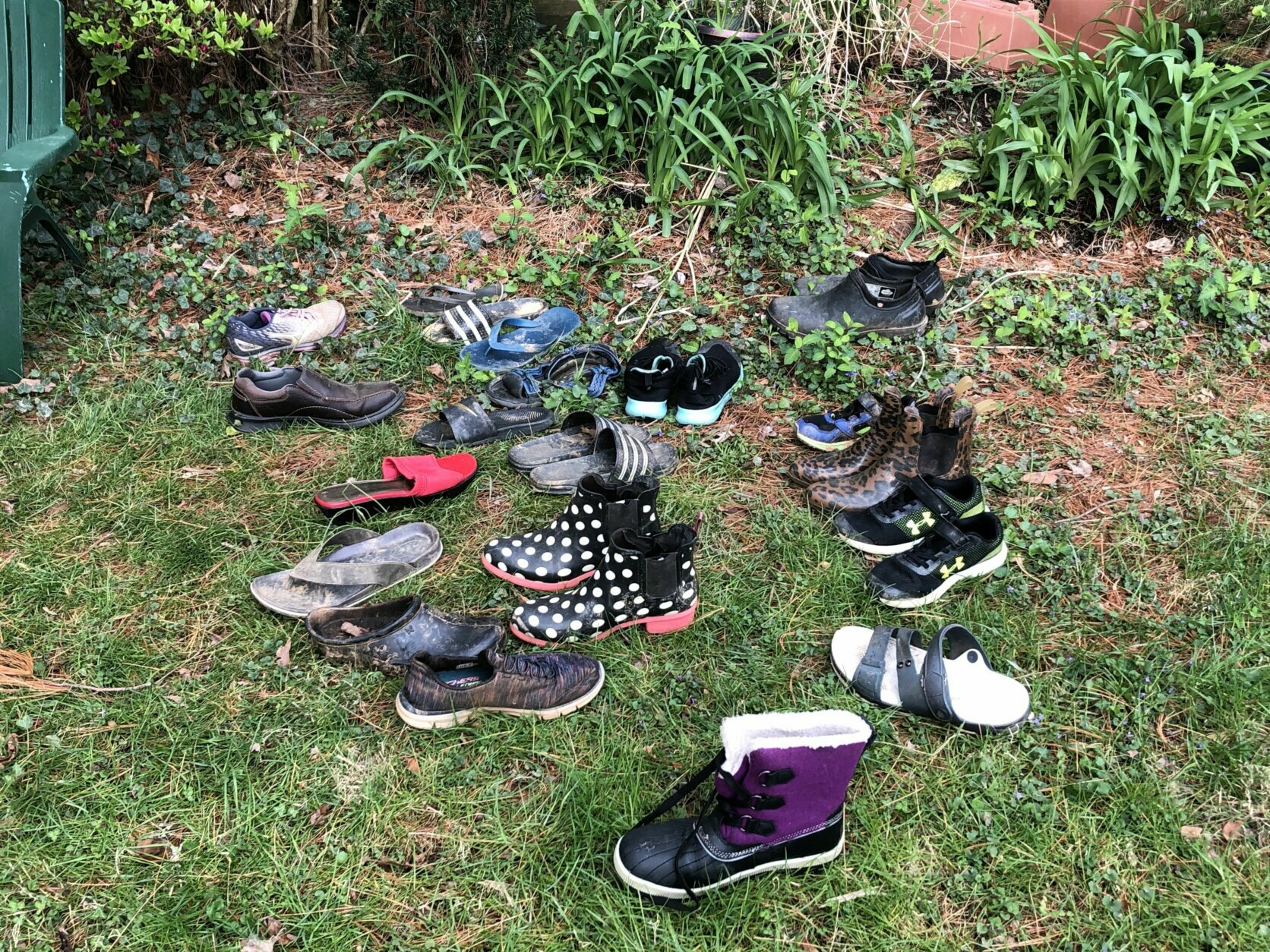 Pastors' yard littered with footwear as fox family steals neighborhood shoes  - WTOP News