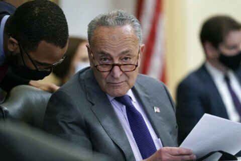 Schumer says DC statehood is ‘an idea whose time has come’