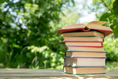 Summer reading: Book ideas for parents of K-8 students