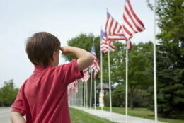 Young boy salutes flags of Memorial Day display in a small townOther images: