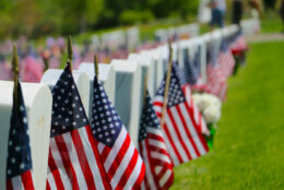White headstones in a cemetery decorated with American flags