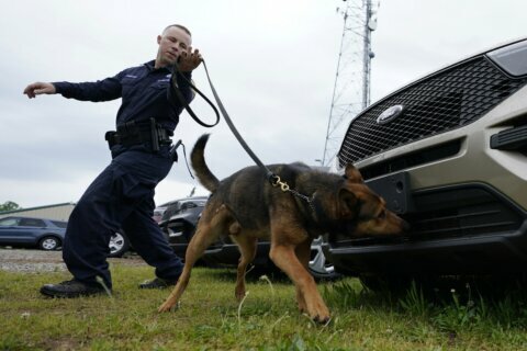 Since the nose doesn’t know pot is now legal, K-9s retire