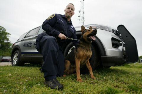 DC’s marijuana-sniffing police dogs being phased out following decriminalization