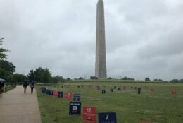 <p>National Foster Care Month was observed on the National Mall with signs and in information tent Saturday, May 29, 2021. (WTOP/Dick Uliano)</p>
