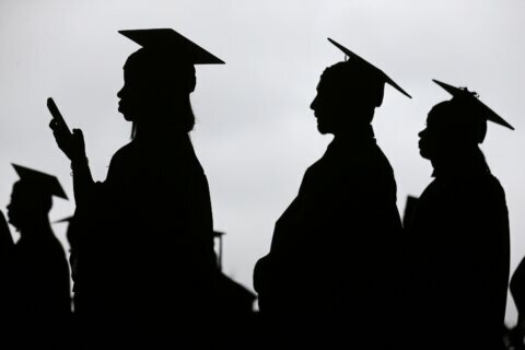 Report: STEM degrees among the ‘most valuable’ for graduates