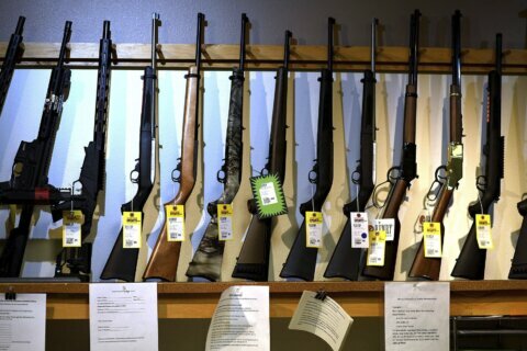 In Anne Arundel Co., a First Amendment question over gun sales