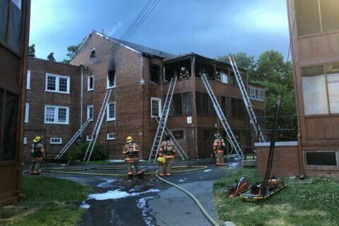 Firefighter injured, dog dies in Silver Spring apartment fire