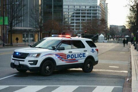 DC police: Suspect threw bricks at man and baby