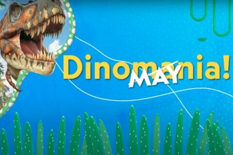 Nat Geo Kids presents ‘DinoMAYnia’ with roaring activities for the month of May
