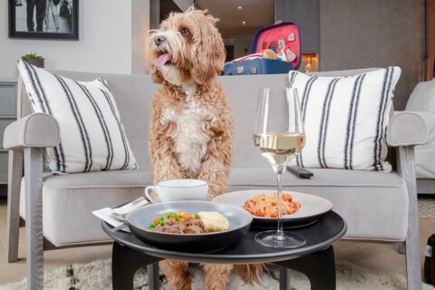 Hilton launches dog menu for pets who helped owners through pandemic