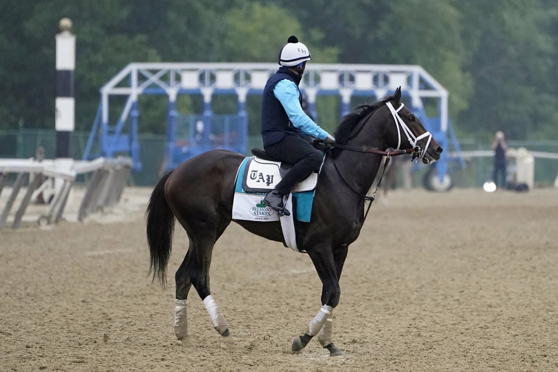 ‘Formidable group’ of horses finish Triple Crown at Belmont - WTOP News