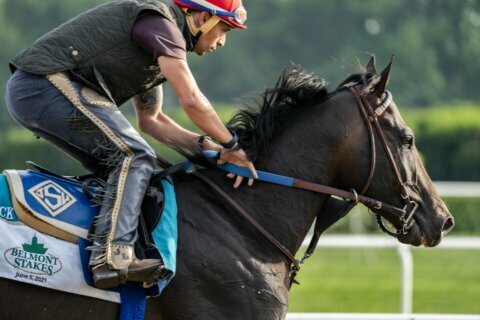 2021 Belmont Stakes preview