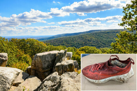 FBI needs help ID’ing woman’s dismembered body found in Maryland’s Catoctin Mountain Park