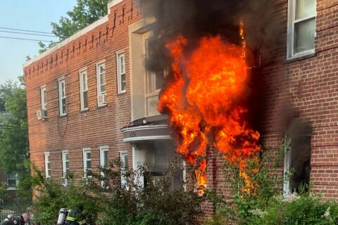 Fire burns through SE DC building, displacing 15 people — and a turtle