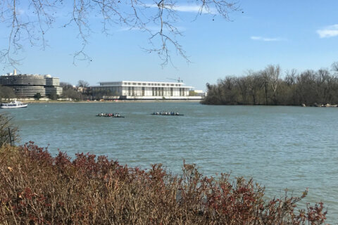 Calls to end Potomac swim ban as DC celebrates Clean Water Act anniversary