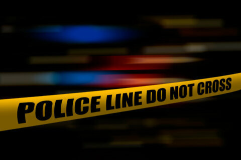 Man shot dead in Rockville motel