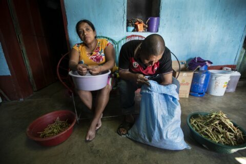 Poverty, climate change drive Guatemala's poor to migrate