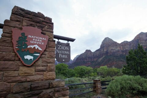 National park visitors surge as Covid-19 pandemic restrictions wane