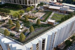 <p>Atop Capital One Hall will be a rooftop green space called The Perch, with a 300-seat amphitheater, beer garden and mini golf course.</p>
