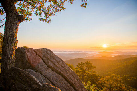 Shenandoah National Park announces new fees for camping, Old Rag