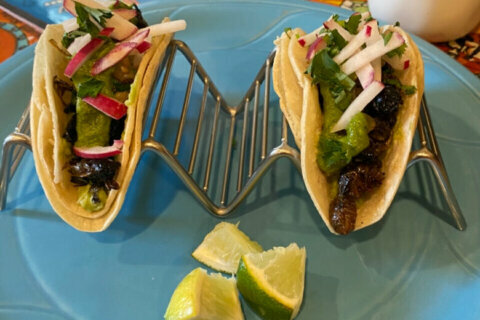 ‘Crunchy, earthy, grassy’ cicada tacos back on menu in Leesburg restaurant