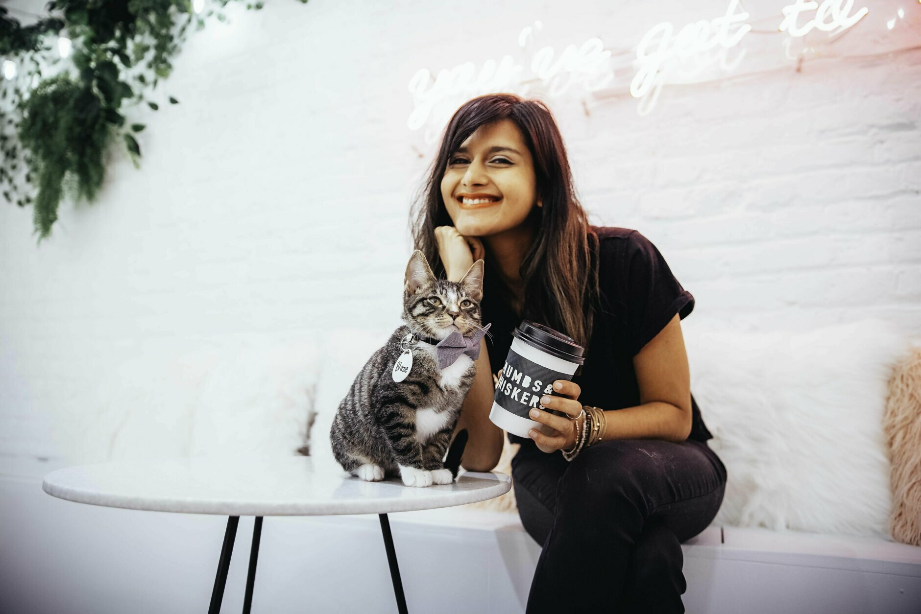 Georgetown cat cafe Crumbs & Whiskers is back