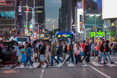 Where do coronavirus variants come from?