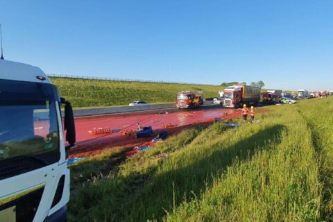Truck carrying tomato puree crashes, turning road red