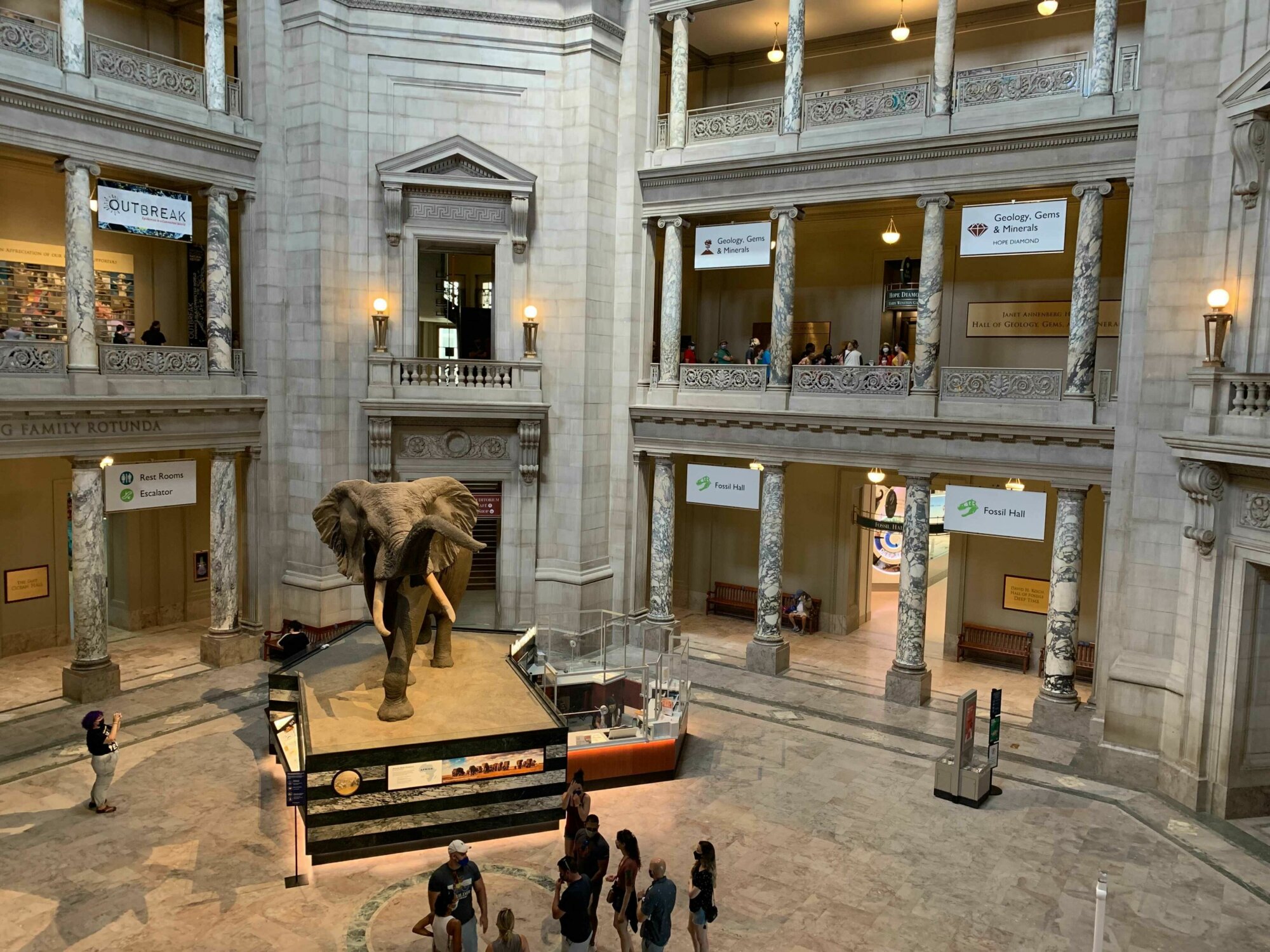 Smithsonian’s natural history museum reopens Friday WTOP News