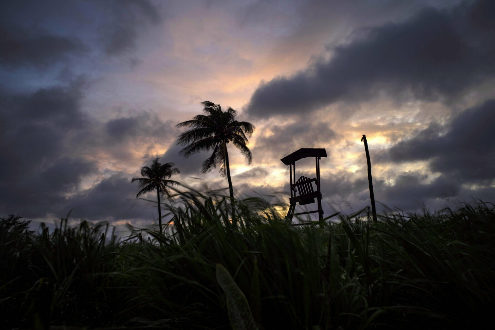 Wind moves the grass and palm trees under a cloudy sky after the passage of Tropical Storm Elsa in Havana, Cuba, Monday, July 5, 2021. (AP Photo/Ramon Espinosa)