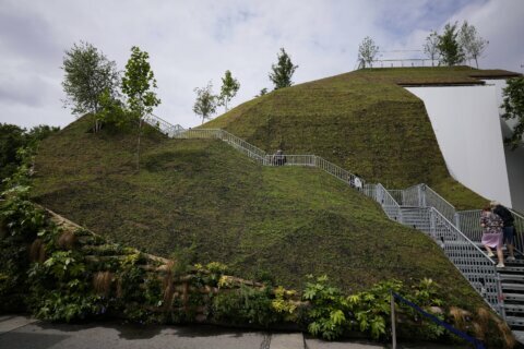 More a molehill: Visitors slam London’s new tourist ‘mound’