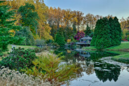 A sunset scene around the Japanese garden area of Brookside Gardens during the fall.