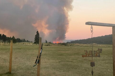 Wildfire consumes small British Columbia town that hit 121 F