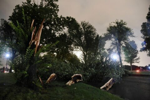 2 tornadoes confirmed in DC area Thursday