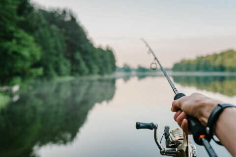 Certain types of fish are being renamed in the wake of anti-Asian hate crimes