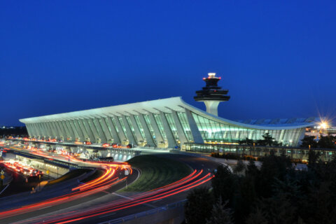 Insects, larva and a loaded gun confiscated at Virginia’s Dulles Airport in September