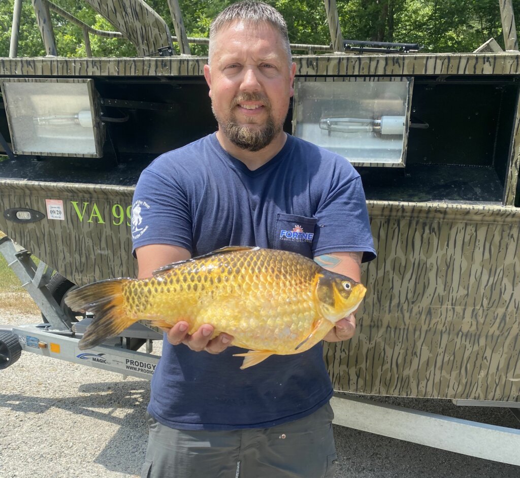 Large goldfish caught in Virginia