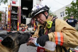 District of Columbia Fire and EMS Chief Chris Holmes gives Search and Rescue K-9 Kimber water after they helped locate a person who was trapped in a building that collapsed Thursday, July 1, 2021, in Washington. Fire officials said the building was under construction and fully collapsed.