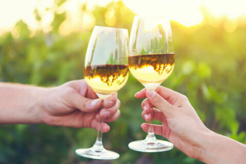 Charlottsville area named ‘wine region of the year’