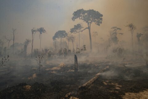 Data raises concerns as Brazil's forest fire season begins