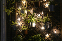 <p><strong>Add a trellis vertical garden with small potted plants.</strong> Fairy lights and a hanging trellis garden are a great way to give your nighttime hang outs a little more beauty.</p>
